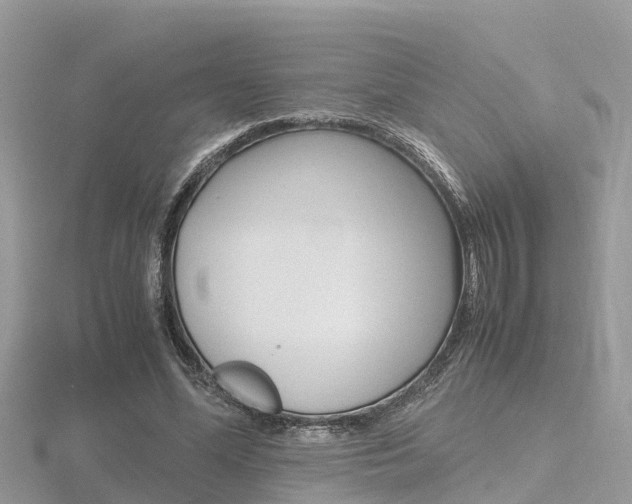 X0000116660588200912141028