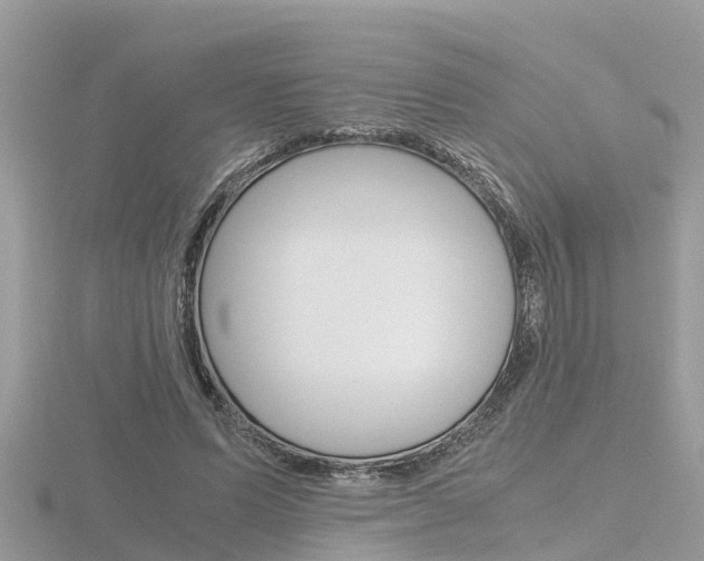 X0000116660591200912141028