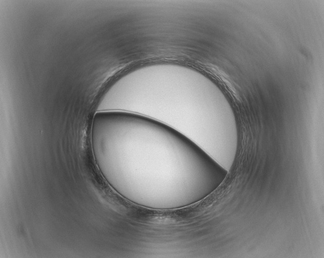 X0000116660596200912141028