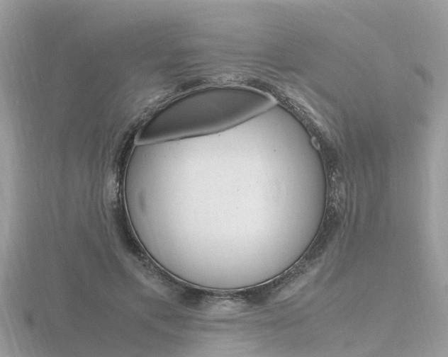 X0000116660597200912141028