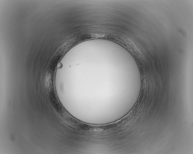 X0000116660598200912141028