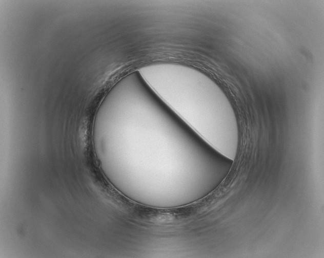 X0000116660600200912141028