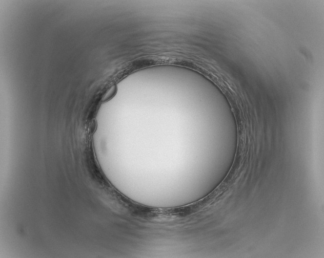 X0000116660601200912141028