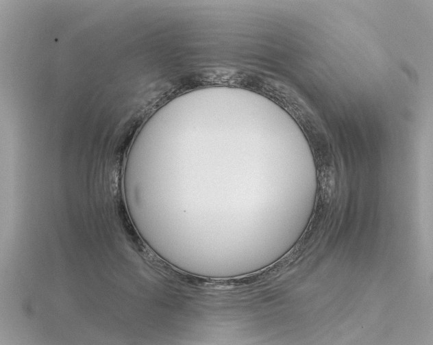 X0000116660602200912141028