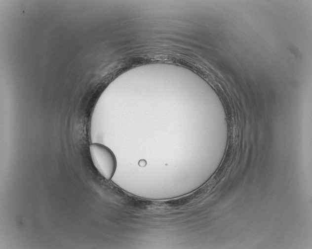 X0000116660603200912141028