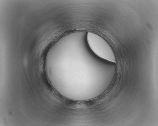 X0000116660604200912141028