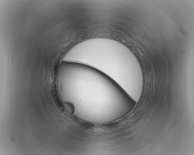 X0000116660608200912141028