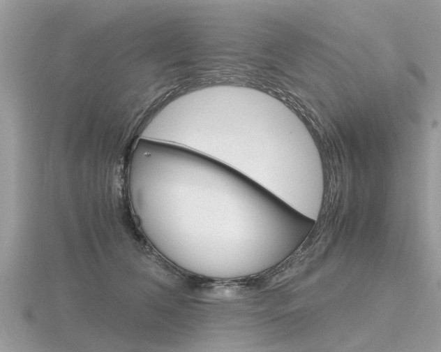 X0000116660612200912141028