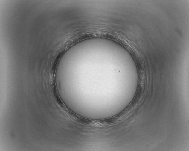 X0000116660613200912141028