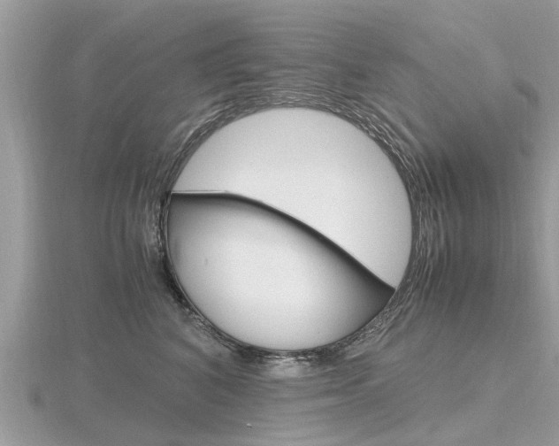 X0000116660616200912141028