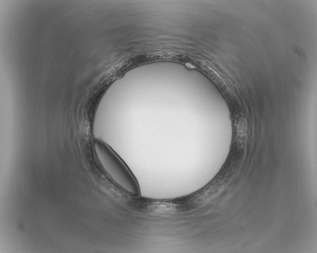 X0000116660617200912141028