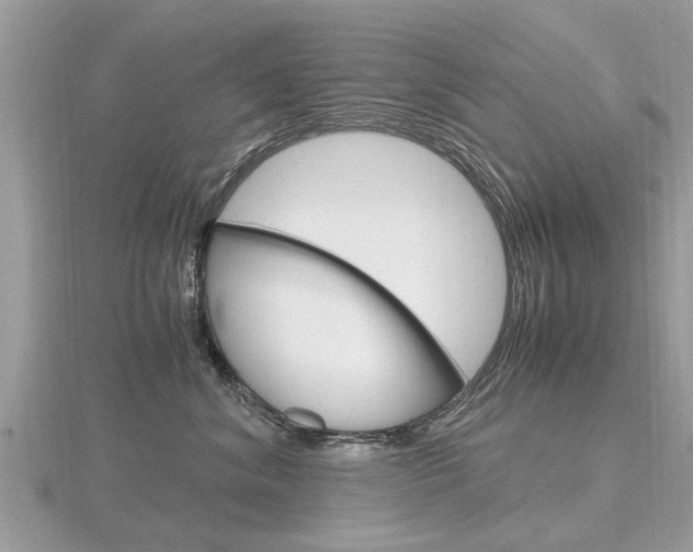 X0000116660620200912141028