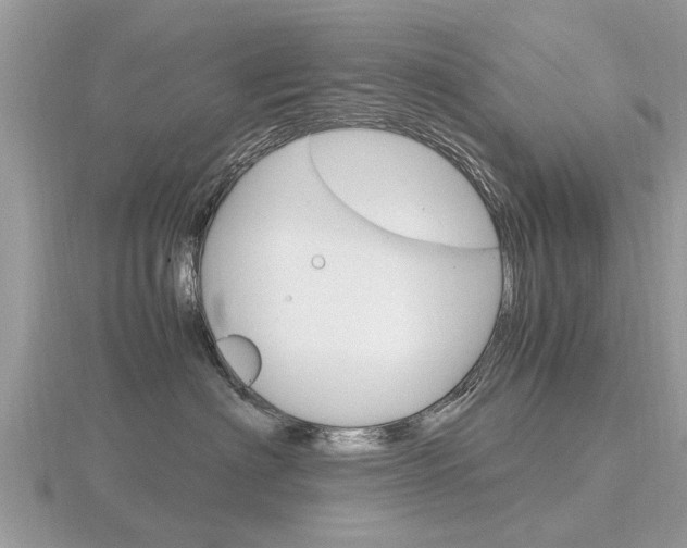 X0000116660622200912141028