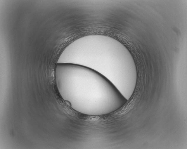 X0000116660624200912141028