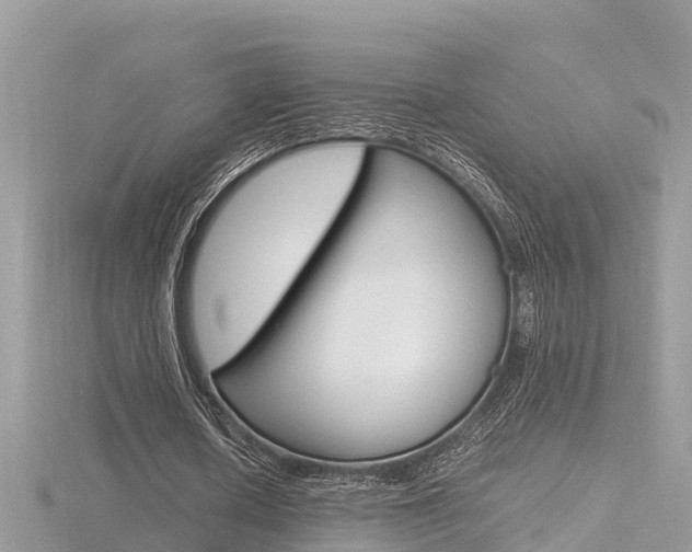 X0000116660626200912141027