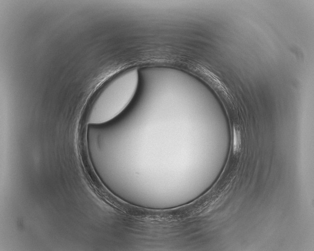 X0000116660627200912141027