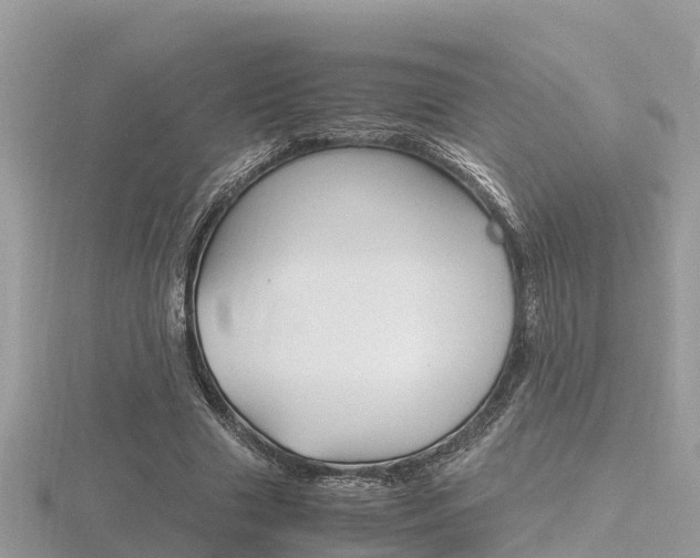 X0000116660633200912141027