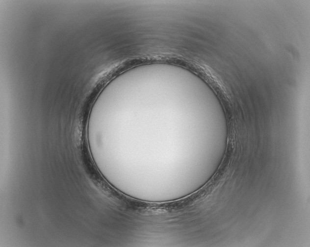 X0000116660640200912141027
