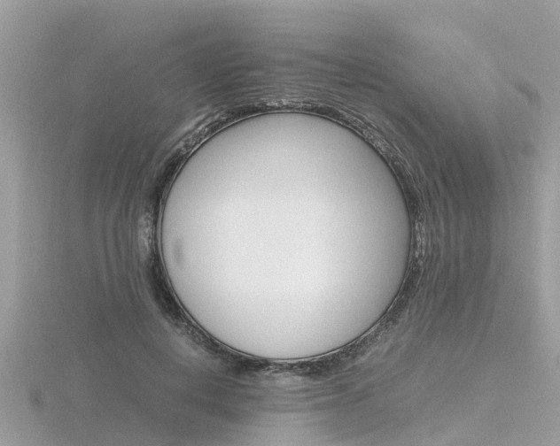 X0000116660648200912141027
