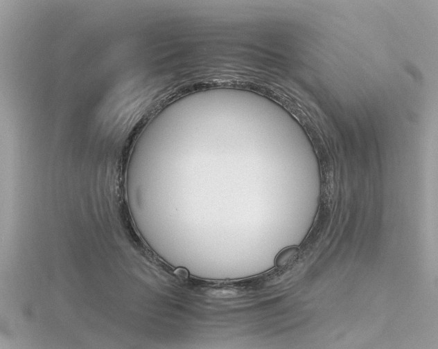 X0000116660653200912141027