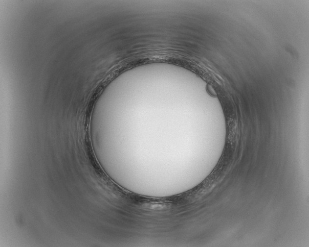 X0000116660655200912141027