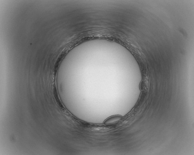 X0000116660657200912141027