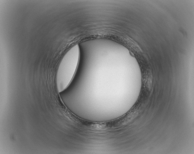 X0000116660660200912141027