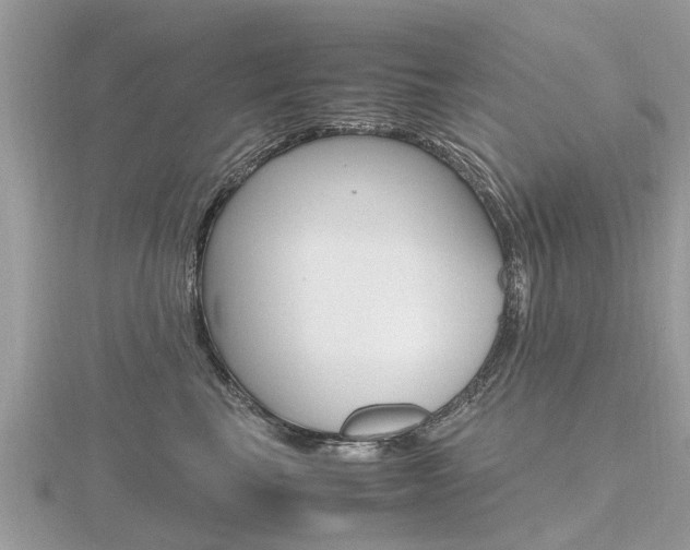 X0000116660665200912141028