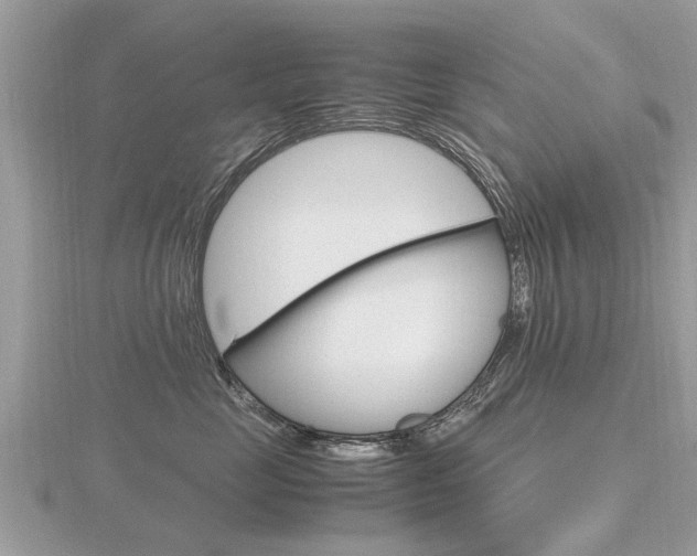 X0000116660669200912141028