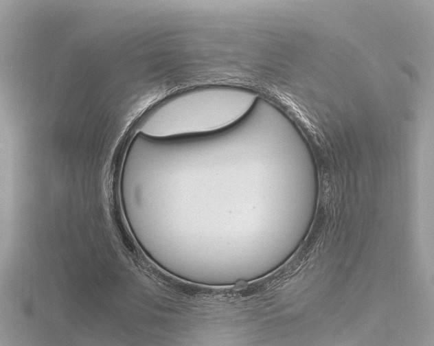 X0000116660679200912141027