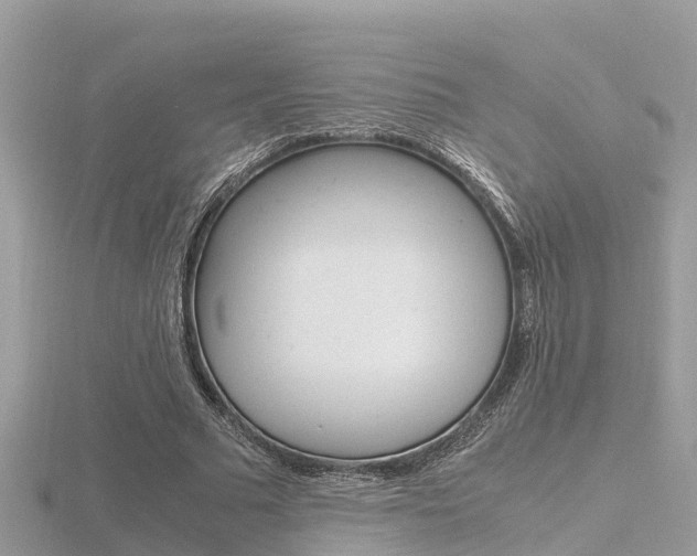 X0000116660681200912141027