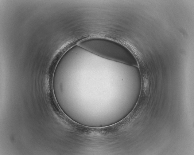 X0000116660684200912141027