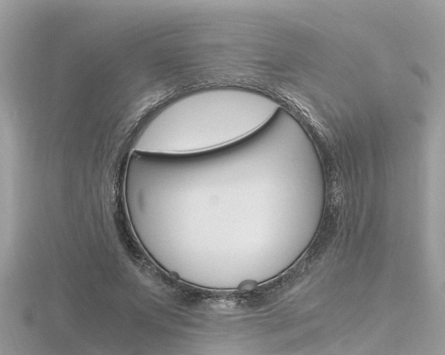 X0000116660687200912141027