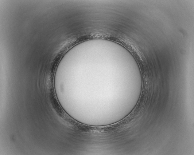 X0000116660690200912141027