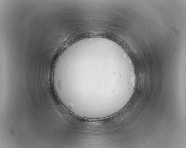 X0000116660698200912141027