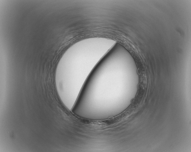 X0000116660707200912141026