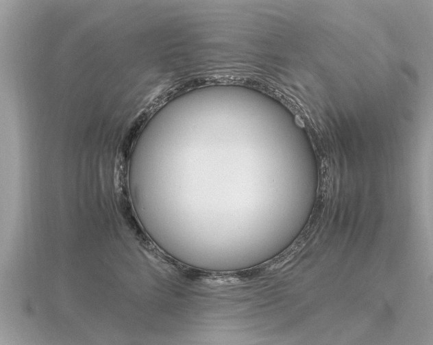 X0000116660712200912141026