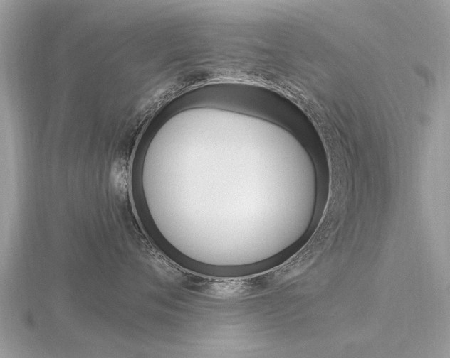X0000116660720200912141026