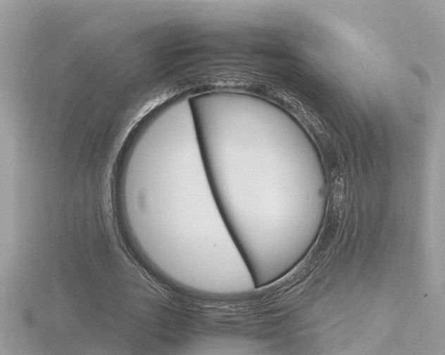 X0000116660727200912141026