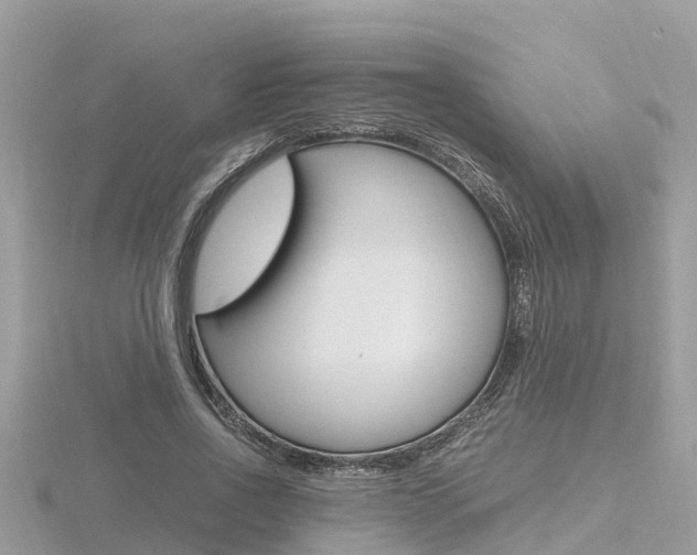 X0000116660734200912141026