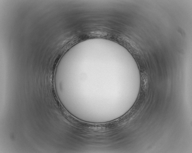 X0000116660745200912141026
