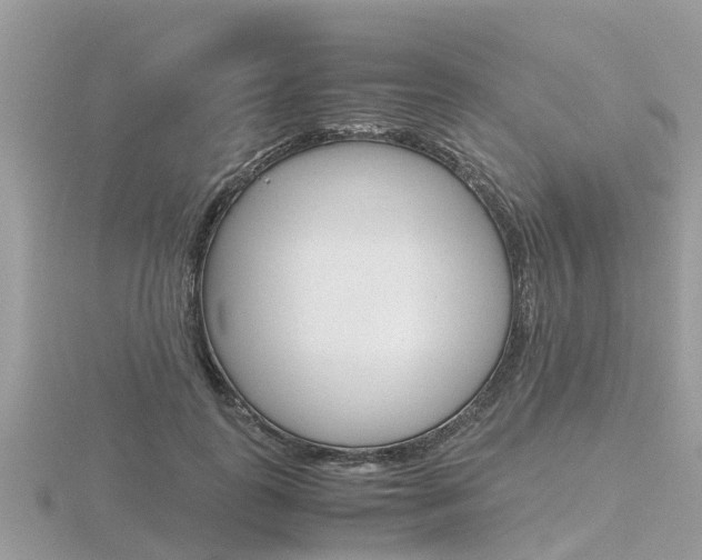 X0000116660747200912141026