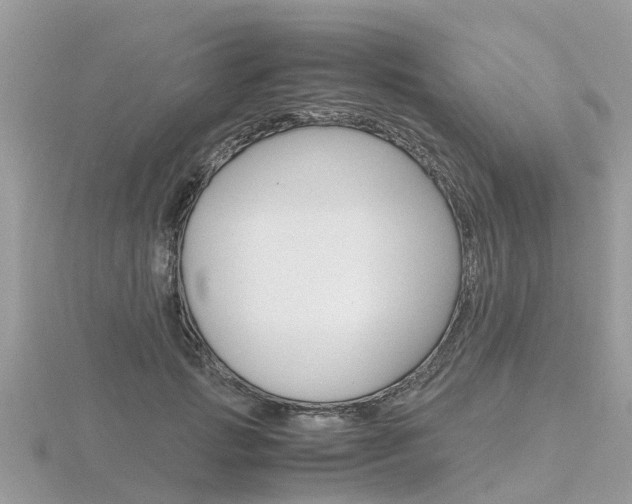 X0000116660749200912141026