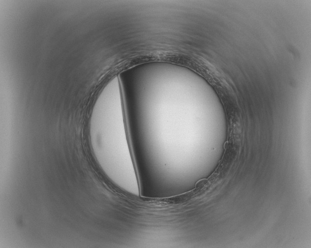 X0000116660750200912141026