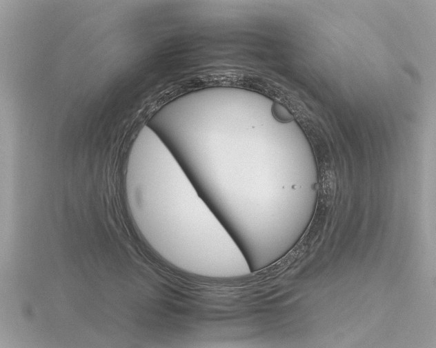 X0000116660751200912141026