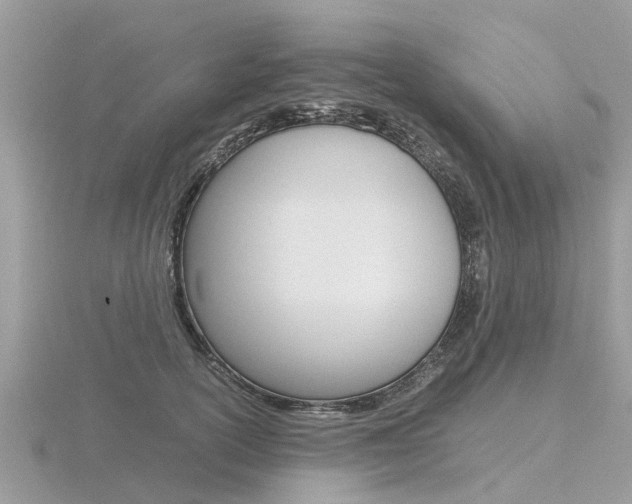 X0000116660754200912141026