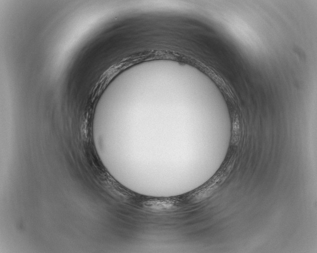 X0000116660765200912141026
