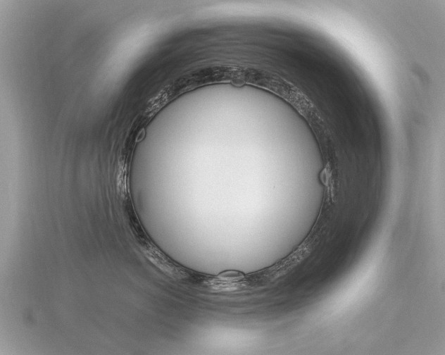 X0000116660766200912141026