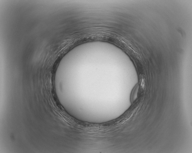 X0000116660771200912141026