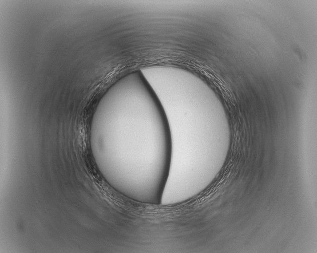 X0000116660772200912141026